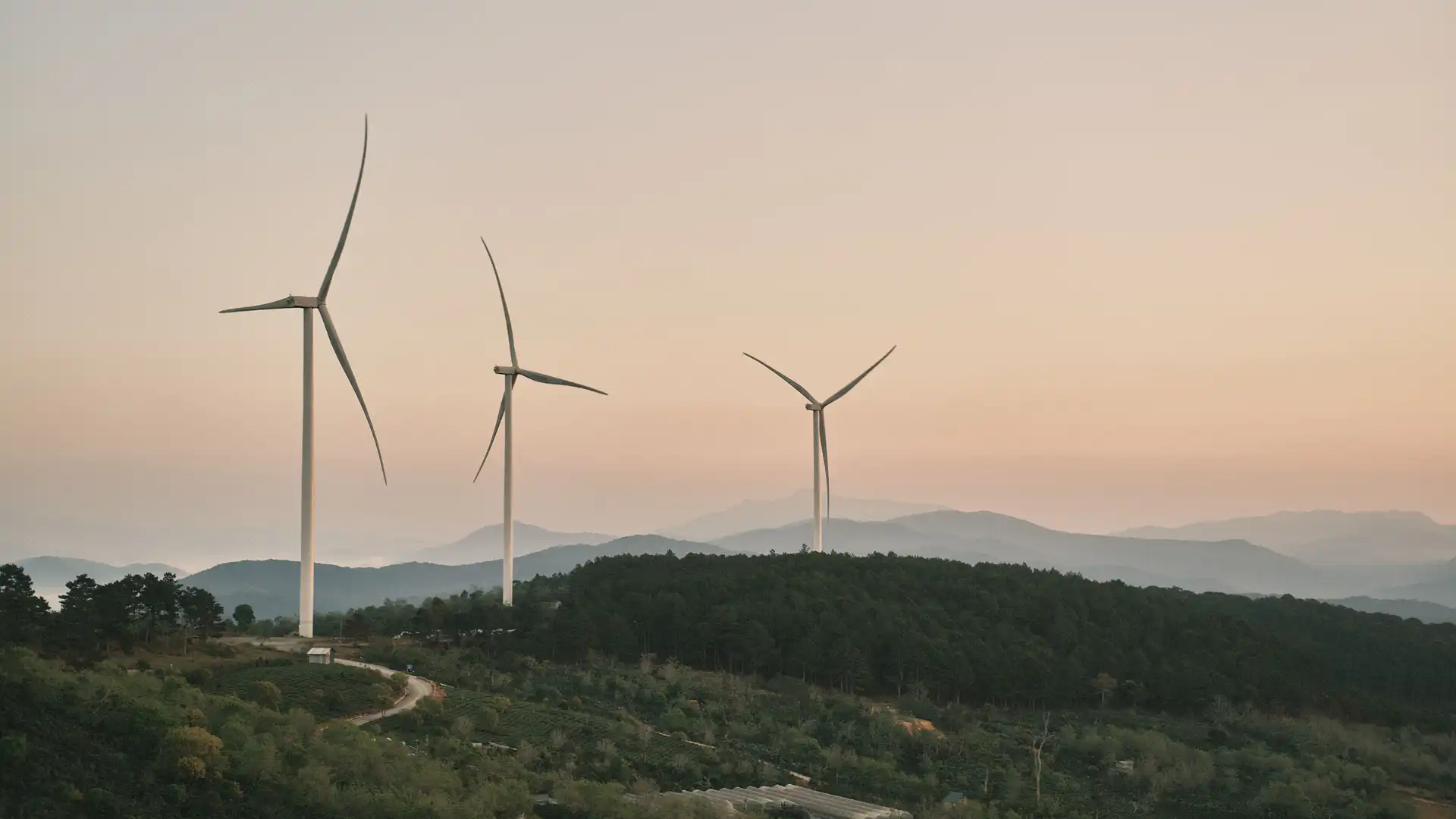 QuickClean Sustainable Future